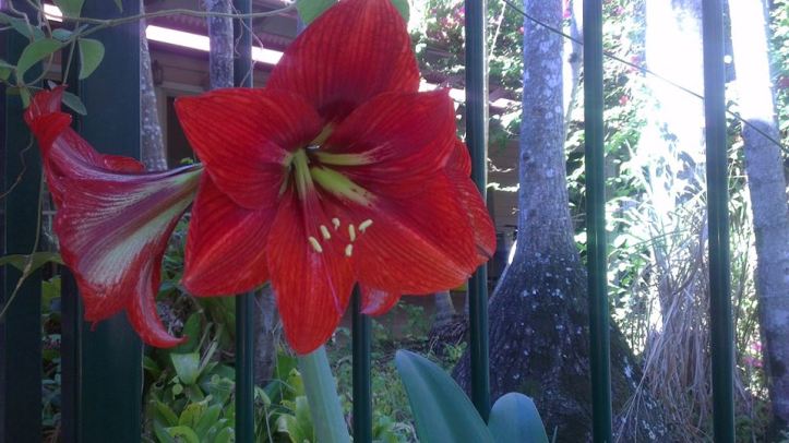 12088043_10206818757245915_23138946594949735_n