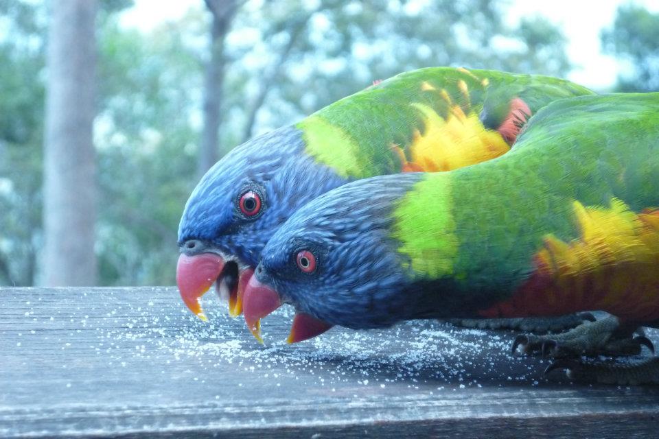 419144_3097136385792_1368235778_n