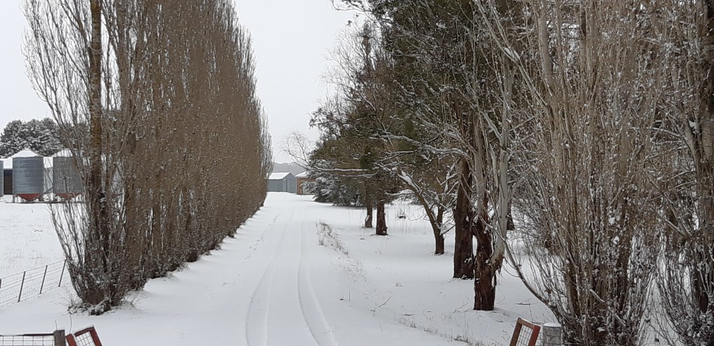 Scenic drive on a Winter's Day *