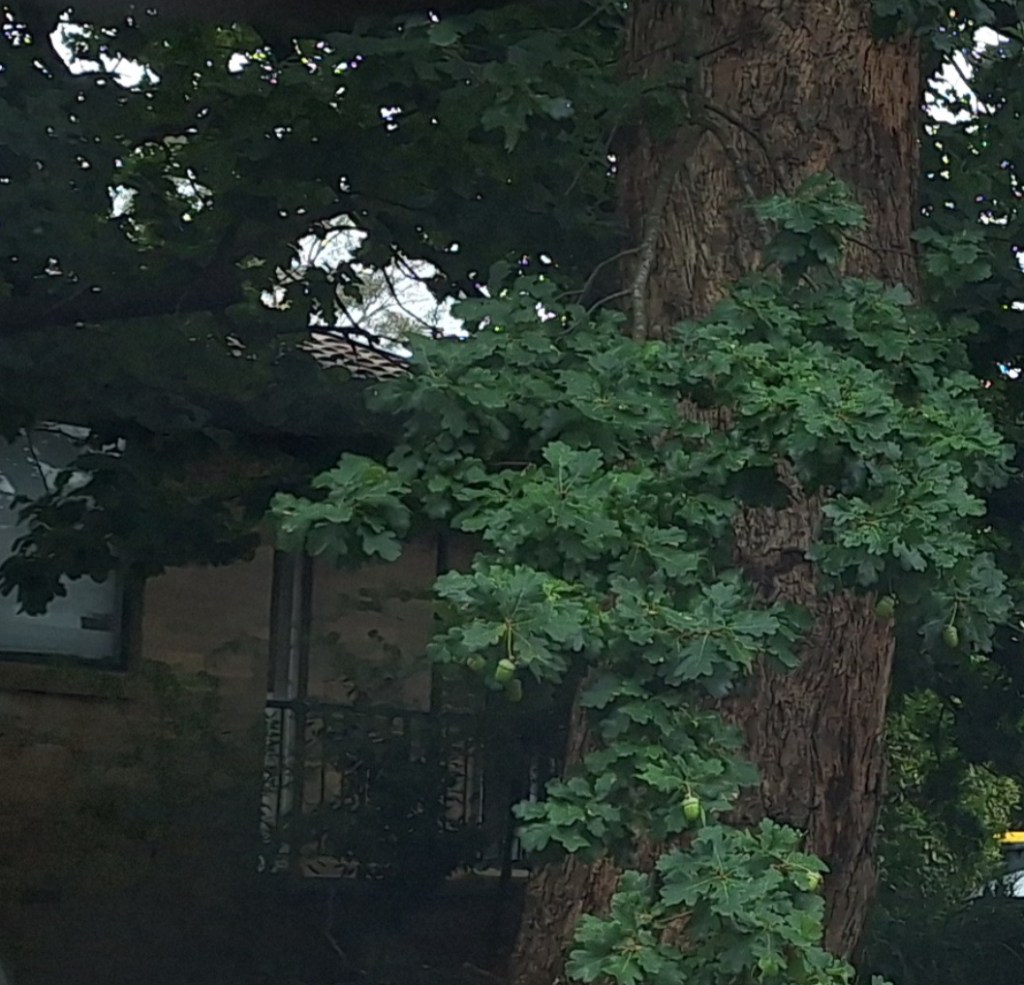 Today I thought of&nbsp;you